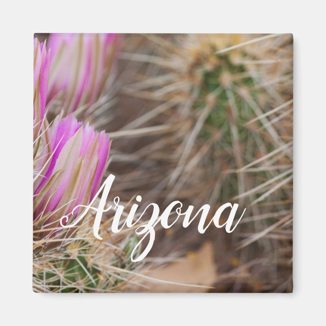 Imán Antes de la floración, Arizona (Frente)