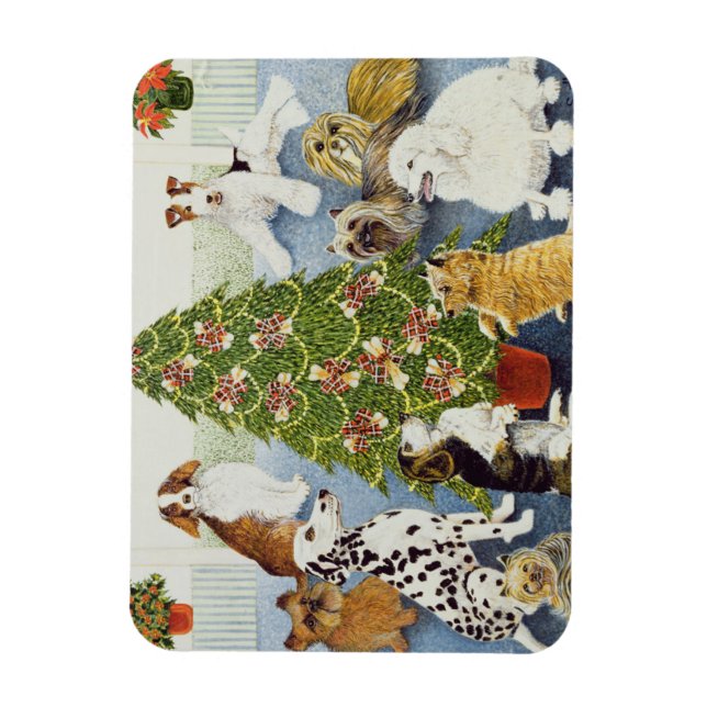 Imán Anticipación (Vertical)