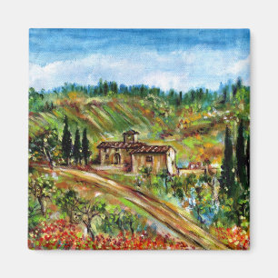 IMÁN ANTIGUA CASA DE CAMPO EN CHIANTI-TUSCANIA