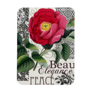 Imán Antigüedad floral de la Bonito de Damasco Rosa
