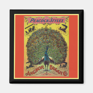 Imán Antiguo buggy de pavo real de color amarillo rojo