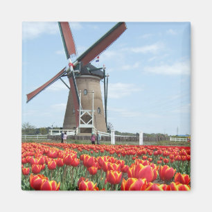 Imán Antiguo molino de viento de Japón