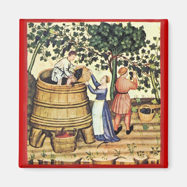 IMÁN ANTIQUE GRAPE VINEYARD HARVEST (Frente)