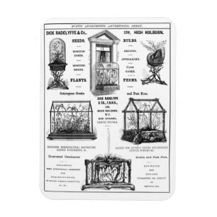 Imán Anuncio de 'Dick Radclyffe & Co.' Anuncio ruso