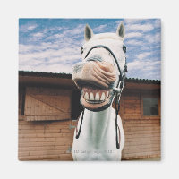 Apertura de boca para acercamiento de caballos