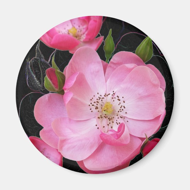 Imán apertura de rosebudo diminuto (Frente)