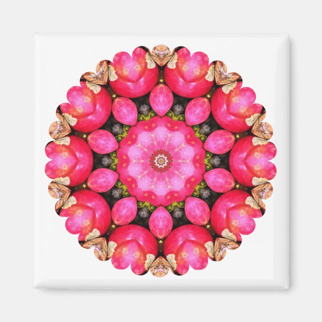 IMÁN APLICACIONES (Frente)