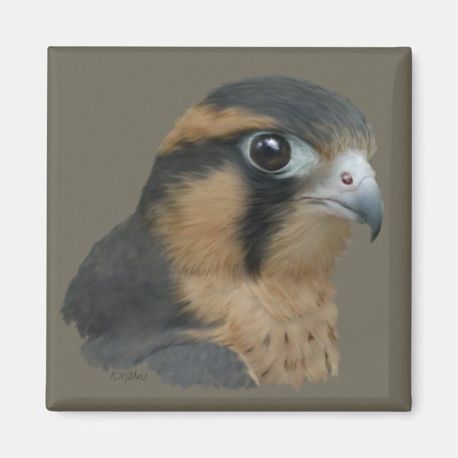 Imán Aplomado (Frente)