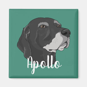 Imán Apollo