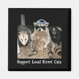 Imán Apoyar gatos callejeros locales mapache divertido