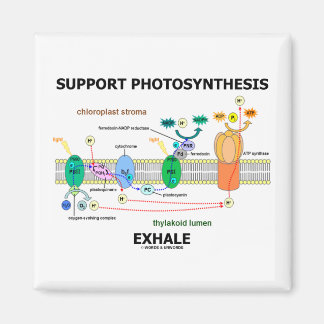 Imán Apoyar la síntesis de fotosíntesis Exhale (Humor b