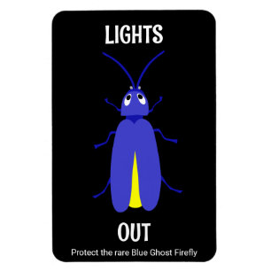 Imán Appalaciano Lightning Bug