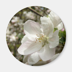 Imán Apple Blossom Magnet