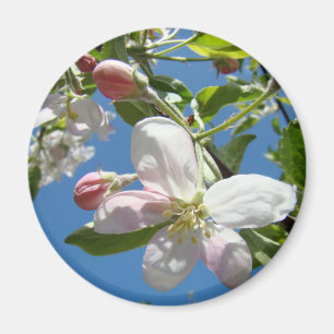 Imán APPLE BLOSSOMS MAGNETS Pink Blossoms Apple