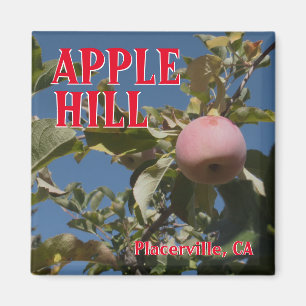 Imán Apple Hill Placerville Travel Magnet