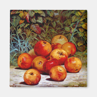 Imán Apple Magnet