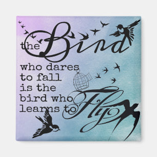 Imán Aprende a volar