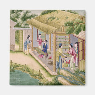 Imán Aprender sobre gusanos de seda