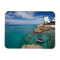 Aprendiendo A Bucear Scuba, Cozumel México