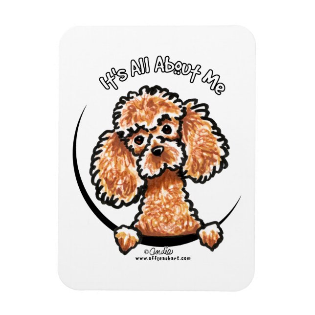 Imán Apricot Toy Miniatura Poodle IAAM (Vertical)