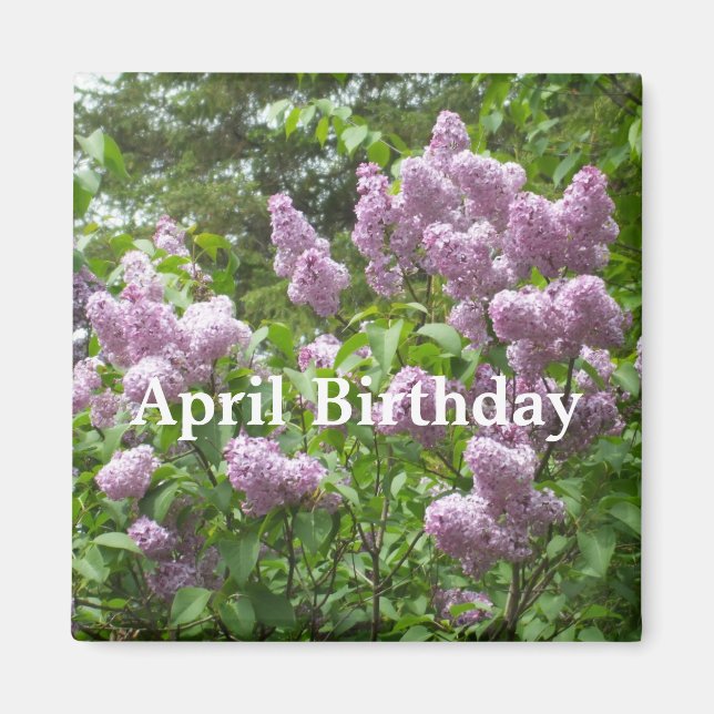 Imán April Birthday-Lovely Lilac Bush (Frente)