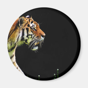 Imán Aproximación de tigres - Arte de animales salvajes
