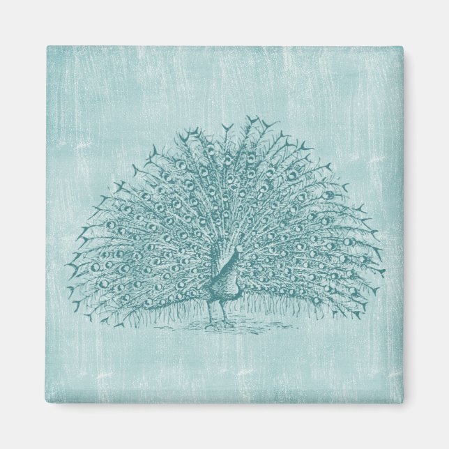 Imán Aqua Peacock (Frente)