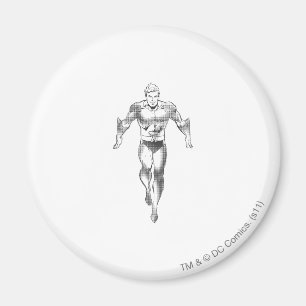Imán Aquaman ejecuta BW