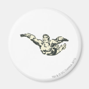 Imán Aquaman Soars BW