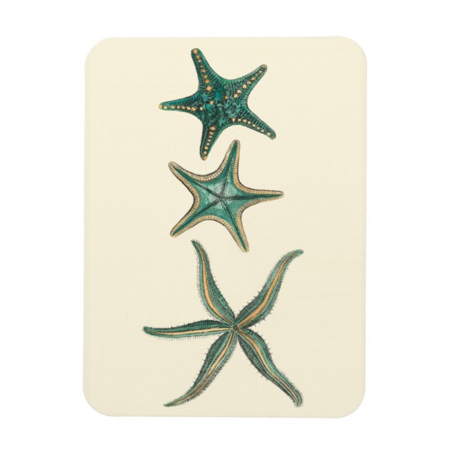 Imán Aquamarine Triple Starfish (Vertical)
