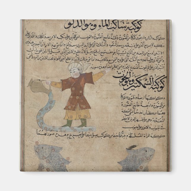 Imán Aquarius y Pisces (Frente)