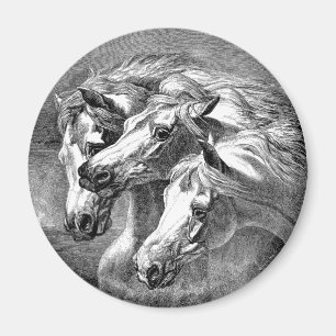 Imán árabe de los caballos