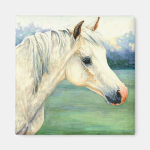 Imán árabe del caballo