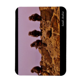 Imán Arabia Saudita