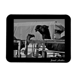 Imán Arabia Saudita