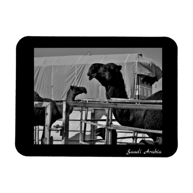 Imán Arabia Saudita (Horizontal)