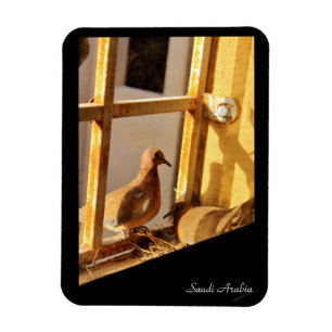 Imán Arabia Saudita