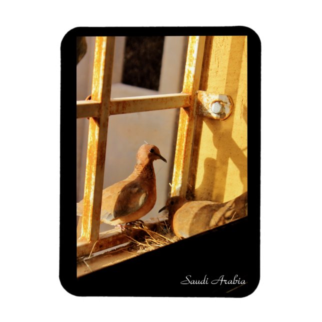 Imán Arabia Saudita (Vertical)