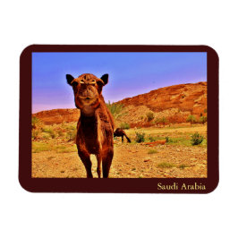 Imán Arabia Saudita