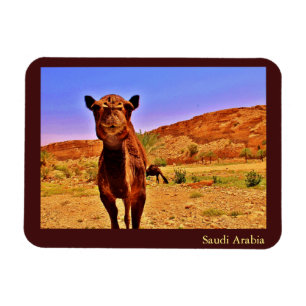 Imán Arabia Saudita