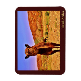 Imán Arabia Saudita