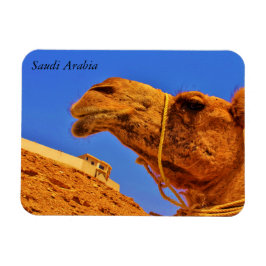 Imán Arabia Saudita