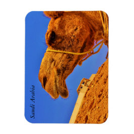 Imán Arabia Saudita