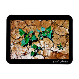 Imán Arabia Saudita