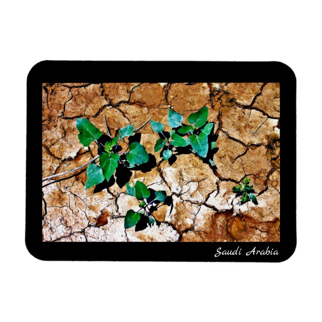 Imán Arabia Saudita (Horizontal)