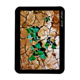 Imán Arabia Saudita