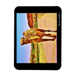 Imán Arabia Saudita