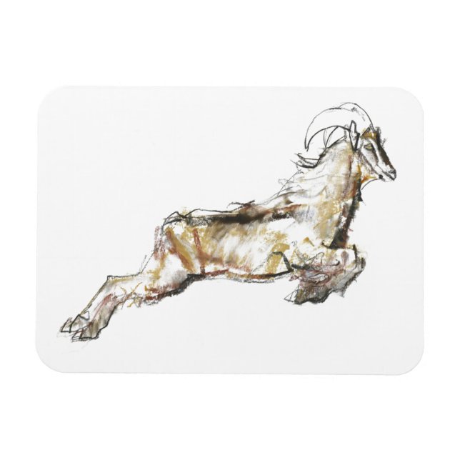 Imán Arabian Tahr 2009 (Horizontal)