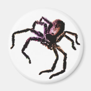 Imán Araña del Huntsman