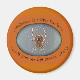 Imán Araneus Orb Weaver Spider Halloween Magnet